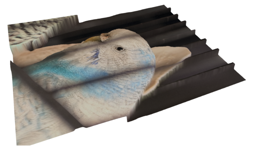 Generated mesh from the point cloud