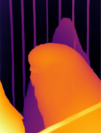 Generated depth map