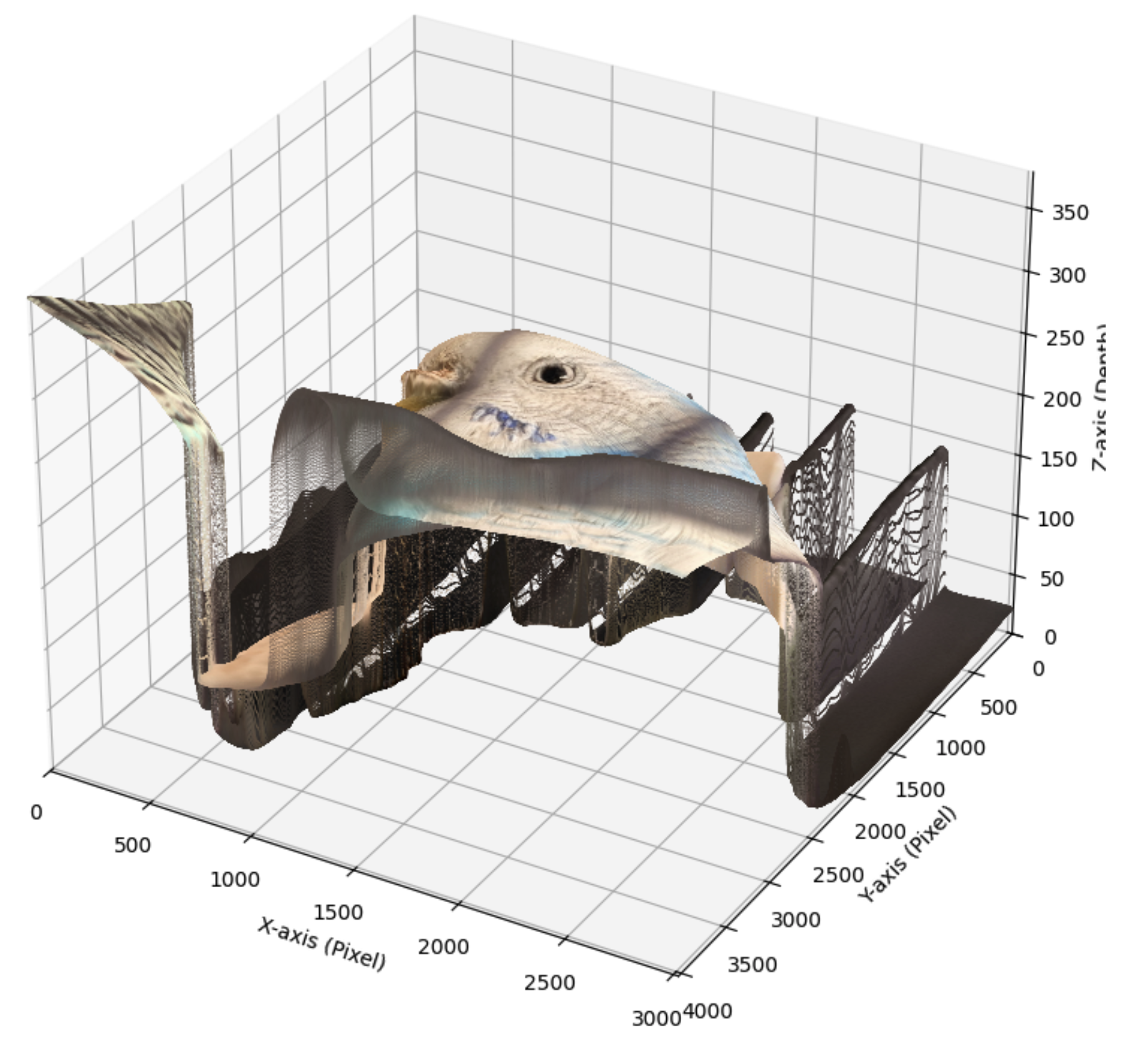 Generated point cloud
